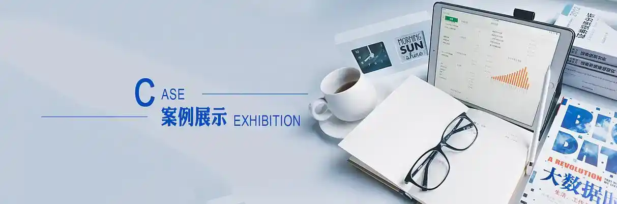 津市市软件开发